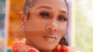 Board of immigration appeals office of the chief clerk 5107 leesburg pike, suite 2000 falls church, va 22041. 7 Interesting Facts About Bia The Rapper Singer Agoodoutfit