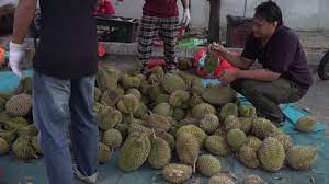 Tuesday, 06 jun 2017 07:41 am myt. Malaysia July 2017 Durian Stock Footage Video 100 Royalty Free 28753042 Shutterstock