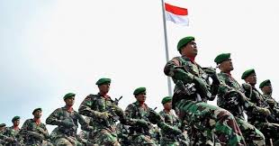 Pengamat Asing Tni Mulai Bangkit Lebarkan Pengaruh Military Historical Historical Figures