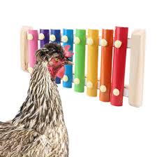More images for rooster biting hens » Buy Pranovo Chicken Toys Hen Pecking Toy Decorative Xylophone Toy With Different Sounds Bright Colors For Chickencoop Cages Online At Low Prices In India Amazon In