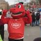 Trunk or Treat at Minnesota State Moorhead event image