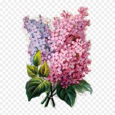 See more ideas about decoupage, flowers, 3d cards. Note Paper Decoupage Paper Painting Flowers Vintage Decoupage Free Transparent Png Clipart Images Download