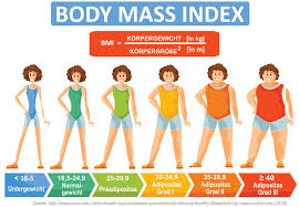 Bmi provides a reliable indicator of body fatness for most people and is used to screen for. Bmi Berechnen Und Abnehmdauer Ermitteln
