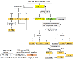 Endocrinology and Metabolism