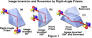 Laser Line Right Angle Prisms from evidentscientific.com