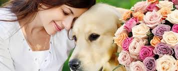 Donna Elezaj, 34 år, Kadettgatan, HELSINGBORG