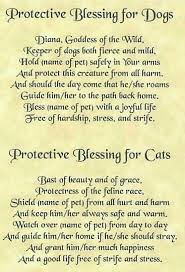 Pin By Kerry Ann Lane On Magic Book Of Shadows Spells Witchcraft Witchcraft