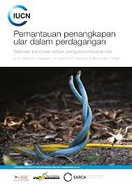 Mimpi dikejar ular…besar dan panjang macam anakonda.hitam.dia kejar slow motion je…dalam setahon mimpi tu menggangu.kepenatan berlari boleh terasa bila terjaga dari tidur.apa maksud mimpi saya? Pdf Pemantauan Penangkapan Ular Dalam Perdagangan Sebuah Panduan Untuk Pengurus Hidupan Liar