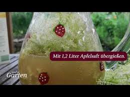 Rezept Holunderblutengelee Herstellen Mdr Garten Youtube In 2020 Holunder Mdr Garten Gelee