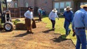 Check spelling or type a new query. How Much Does It Cost To Sod A Yard Cost To Sod A New Lawn