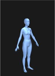 Facemaker is a 3d application based on webgl. 3d Body Visualizer Neogaf