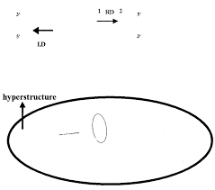 chromosome segregation driven by dna replication