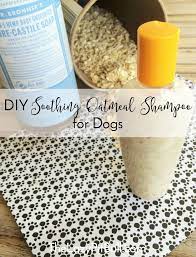 Diy Soothing Oatmeal Shampoo For Dogs Recipe Oatmeal Dog Shampoo Diy Dog Shampoo Dog Shampoo Recipe