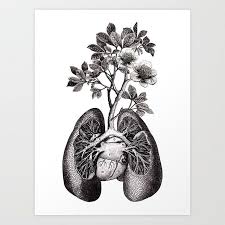 Pin By Sarah Fox On Tattoos N Stuff Lungs Art Art Art Prints