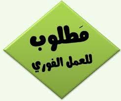 فورا مطلوب للعمل في مطعم بفلوريدا في الولايات المتحدة الامريكية موقع عربي أمريكي