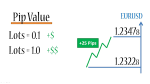 Binary Option Equity Forex Value Per Pip
