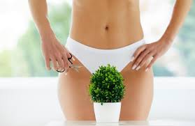 In the pubic region around the pubis bone, it is known as a pubic patch. The Pubic Hairstyles Men Love On Their Girlfriend Revealed And It S Bad News For Those Who Rock A Full Bush