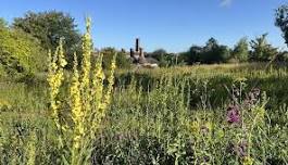 Twyford Waterworks Open Day June 2026