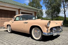Image result for Buckskin Tan 1956 Thunderbird
