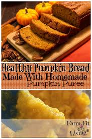 Check spelling or type a new query. Healthy Pumpkin Bread Recipe With Homemade Pumpkin Puree