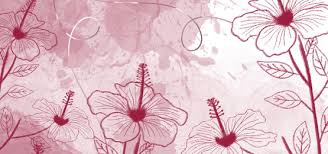 The great collection of hawaiian flower backgrounds for desktop, laptop and mobiles. Hibiscus Flowers Background Photos Vectors And Psd Files For Free Download Pngtree