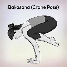 ✓ free for commercial use ✓ high quality images. Bakasana Crane Pose Steps Benefits Precautions Nexoye