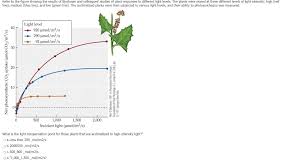نتیجه جستجوی لغت [acclimatized] در گوگل