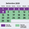 Qué carros no circulan hoy, mañana u otro día. 1