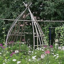 Reutiliser Les Tuteurs En Bambous Bambous Jardin Jardins Tuteur Jardin