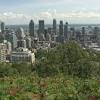 Story image for montreal real estate from CTV News