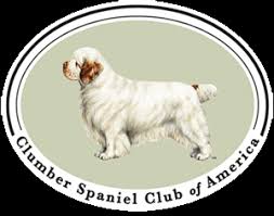 Clumber spaniel puppies for sale nc. Paradise Clumber Spaniel Home 2020 Akc Westminster Best Of Breed Winner Paradise Clumber Spaniels