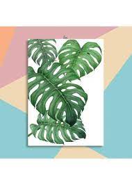 Maybe you would like to learn more about one of these? Jual Hiasan Dinding Vallenca Daun Monstera Philondendrom Unik Termurah Dengan Harga Grosir Dekorasi Zilingo Trade Indonesia B2b Marketplace