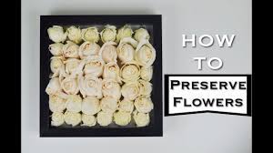 How to preserve flowers in the microwave. How To Preserve Flowers Youtube