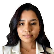 paolo alejandro ostolaza villa