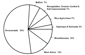 Image result for Ascolepis densa