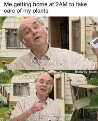 Roundup Of Funny Memes That Are Definitely Lol Worthy Funny Relatable Memes Plant Jokes Stupid Funny Memes