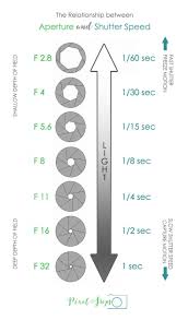 Need Some Photography Tips Get Your Exposure Cheat Sheet Camera Exposure Meaning In Plain Photography Basics Digital Photography Lessons Photography Lessons