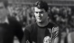 Artículos sobre José Rafael Albrecht