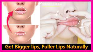 How to get bigger lips at home. How To Get Big Lips 14 Steps With Pictures Wikihow Life