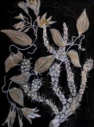 Friends and Neighbors: Kari Englehardt