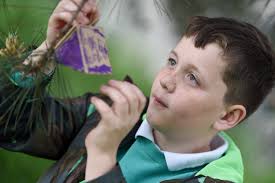 Ward Green Primary School