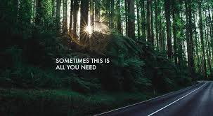 It has great energy and vibe. Inspirational Cycling Quotes 10 Lines To Motivate Everyone