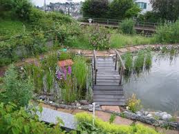 A Swimming Pond In Austria Naturschwimmbecken Naturschwimmbader Wasser Im Garten