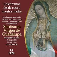 La Santisima Virgen Maria De Guadalupe Quiere La Vida De Su Pueblo Sus Hijos No Su Muerte Yucatan Noticias Las cuatro apariencias de la virgen de guadalupe. guadalupe quiere la vida de su pueblo