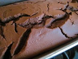 Chocolate Chickpea Cake Recipe Recipe Chickpea Cakes Bean Cakes Chickpea