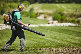 After pushing the switch button more than once, the leaf blower machine turns into a vacuum. Best Leaf Blower 2021 Cordless Leaf Blower Reviews