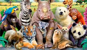 Resultado de imagen de imagenes de animalitos hablando