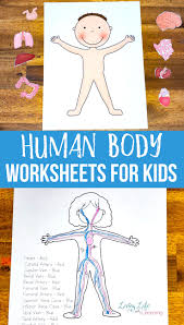 Make a jigsaw student by drawing around students on a sheet of paper big enough for the tallest child to lie down on. Human Body Worksheets For Kids