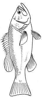 Angler fish between seaweed coloring pages best place to color in 2020 fish coloring page animal coloring pages coloring pages. Malvorlage Fisch Fish Coloring Page Coloring Pages Fish Drawings