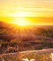 Obituary for Malcolm N. Johnson